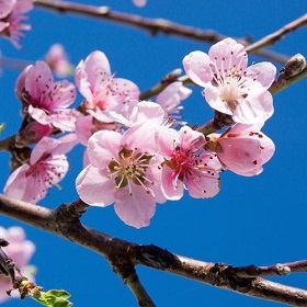 Fotografía: Taller, 'Convirtete en jardinero'