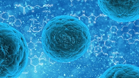 El futuro de las células madre como herramienta quirúrgica