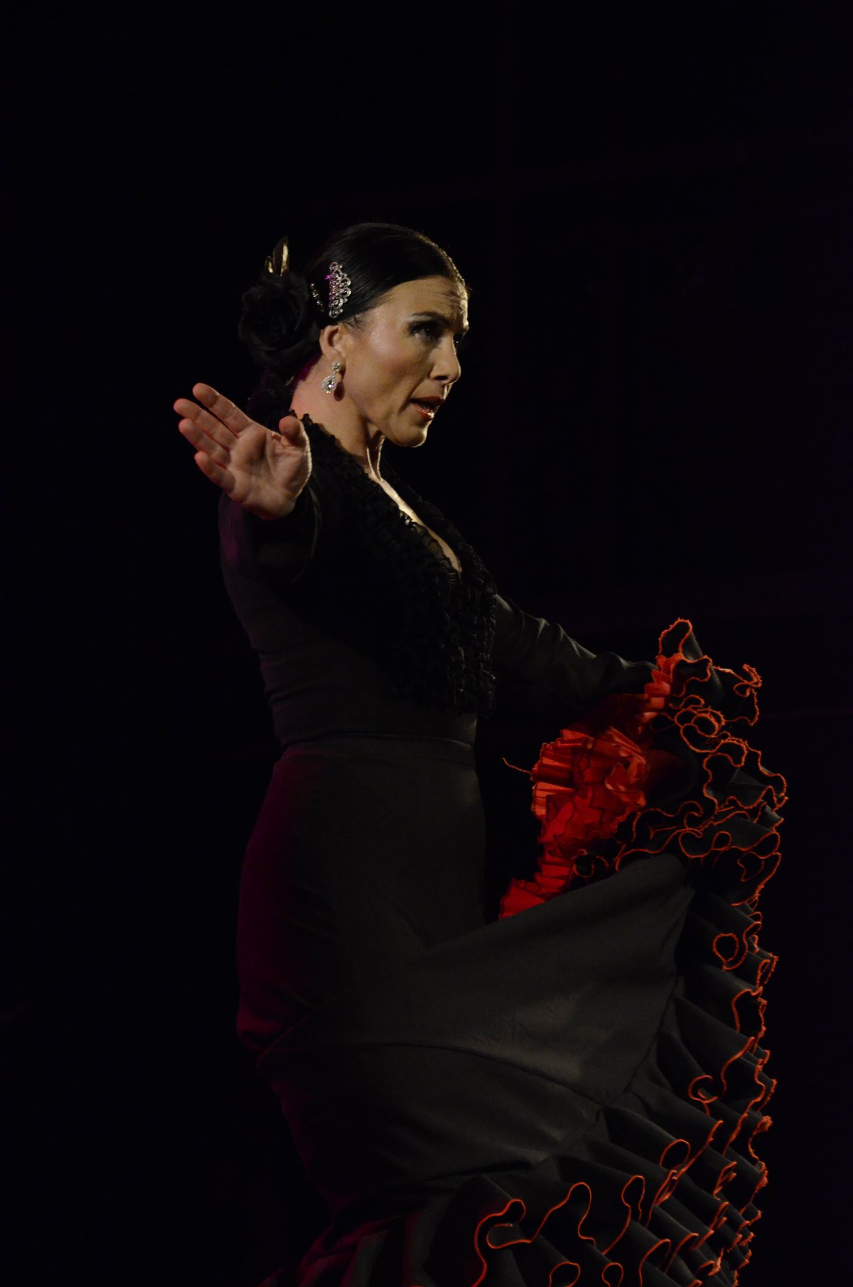 Origen, Tradición y Evolución. Un Recorrido por el Flamenco
